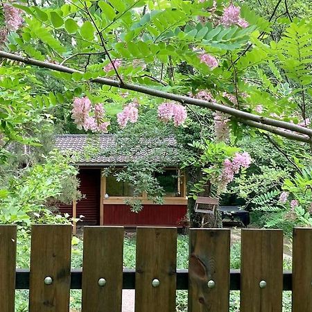 Cinke Cottage, Nest In Nature Kismaros Luaran gambar