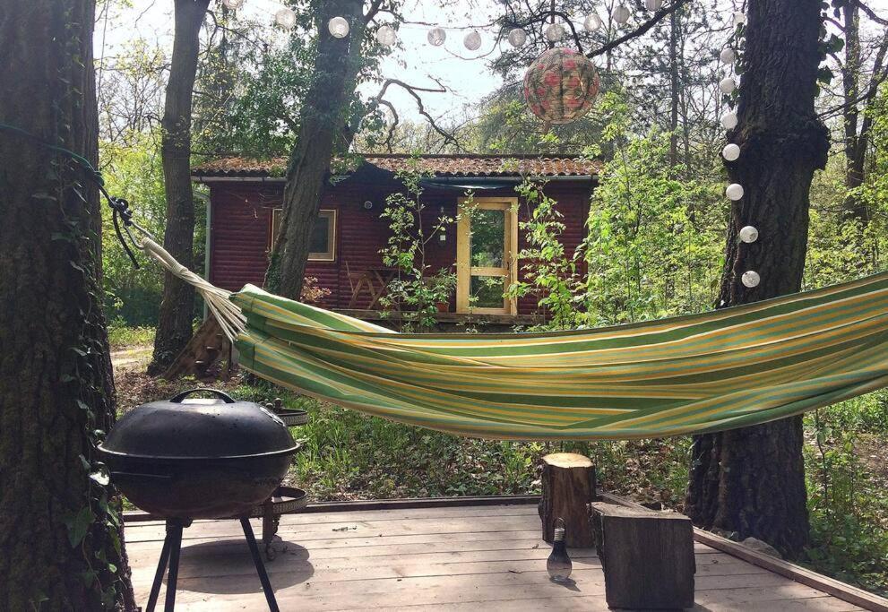 Cinke Cottage, Nest In Nature Kismaros Luaran gambar