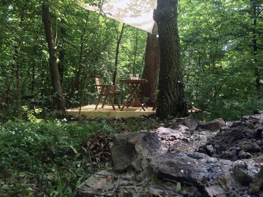 Cinke Cottage, Nest In Nature Kismaros Luaran gambar