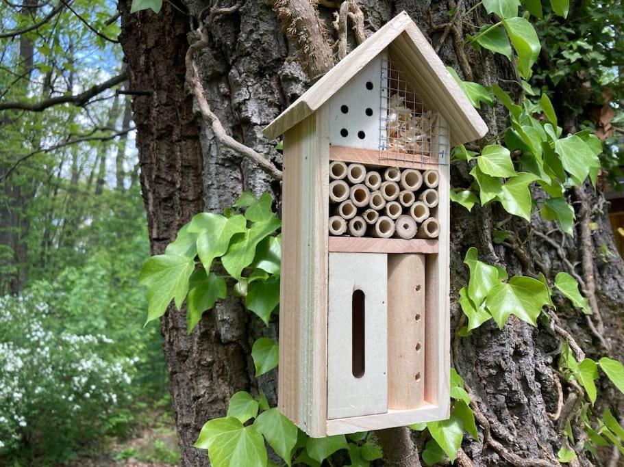 Cinke Cottage, Nest In Nature Kismaros Luaran gambar